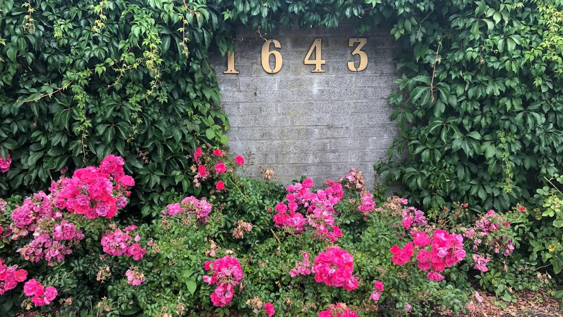 Homestay Vancouver Shaughnessy Guest Home